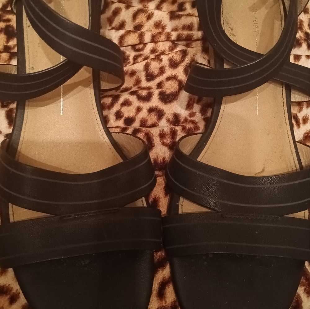 COPY - Report Wedges